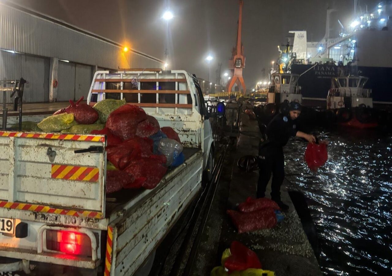 Samsun'da polis, bir kamyonette 2 ton kaçak midye ele geçirdi.